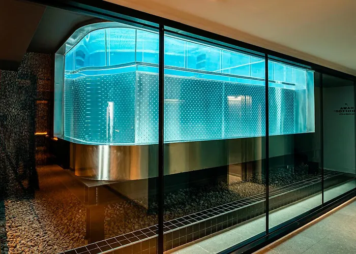 Silken Saaj Maar - Adults Only Hotel Puerto de la Cruz (Tenerife)